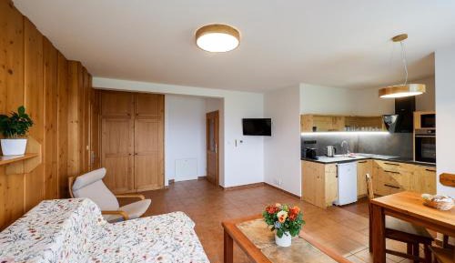 One-Bedroom Premium Apartment