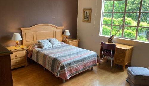 Large Single Room