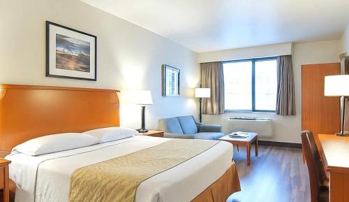 Superior Queen Room