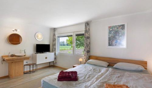 Superior One-Bedroom Apartment