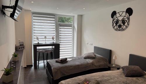 Double or Twin Room - Disability Access