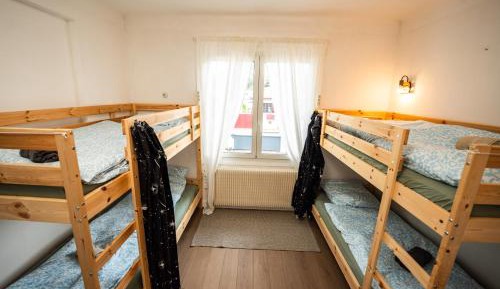 Bunk Bed in Mixed Dormitory Room