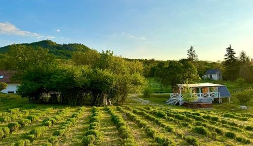 Cottage with Garden View