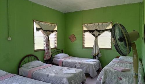 Single Bed in 6-Bed Dormitory Room