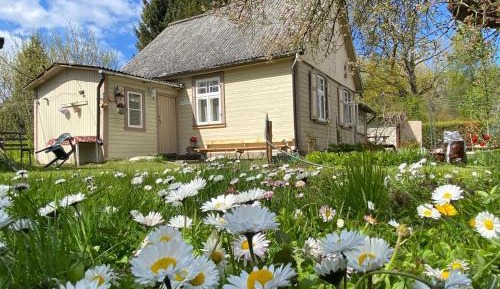 One-Bedroom House