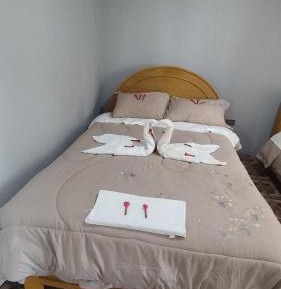 Standard Single Room with Shared Bathroom