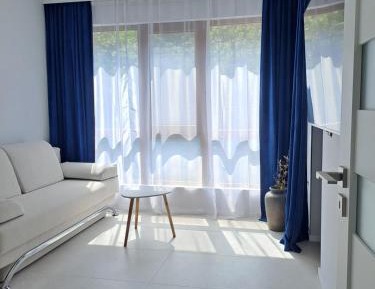 One-Bedroom Deluxe Apartment