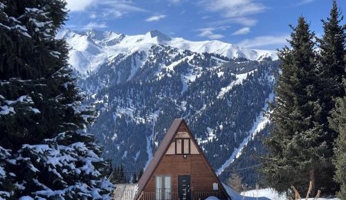 Two-Bedroom Chalet