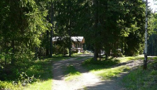Economy Cottage with Sauna