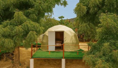 Bungalow - Water Front 