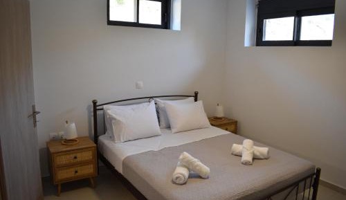 Semi-Basement Deluxe Double Room with Shower