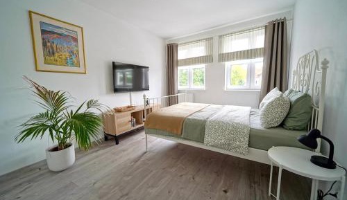 Deluxe One-Bedroom Apartment with City View
