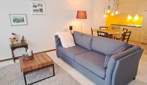 One-Bedroom Family Apartment