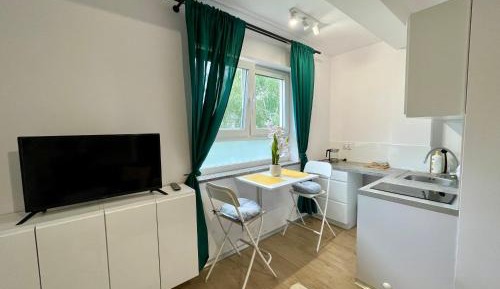 Studio with Sofa Bed