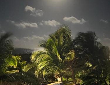 Villa - Beach Front