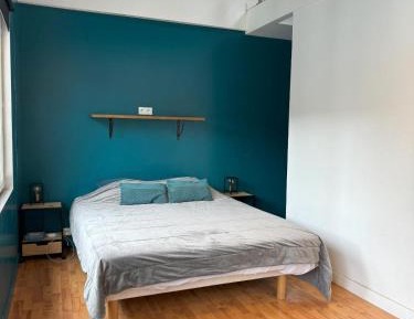 Deluxe One-Bedroom Apartment