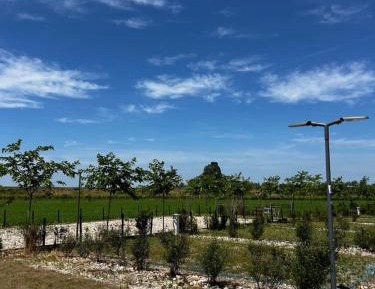 Empty Lot