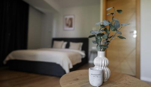 Deluxe Double Room with Extra Bed