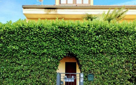 Double or Twin Room with Private Bathroom