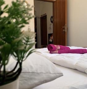 Double Room with Shared Bathroom