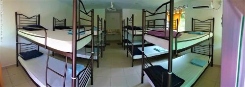 6-Bed Mixed Dormitory Room