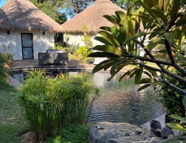 Double Room with Pool View