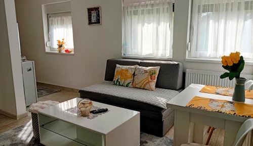 One-Bedroom Standard Apartment