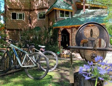Bed in 6-Bed Mixed Dormitory Room