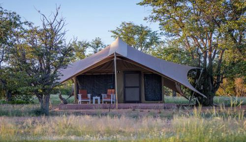 Standard Tent