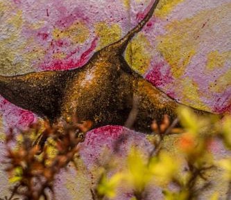 Apartment with Pool View 