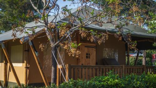 Luxury Safari Tent