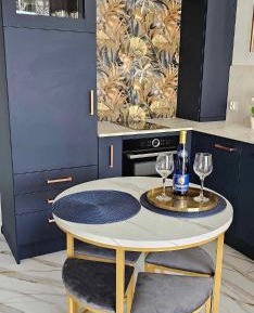 Deluxe One-Bedroom Apartment