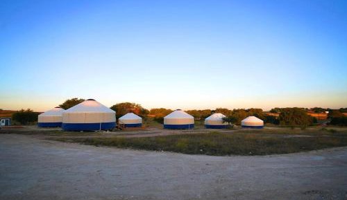 Tent