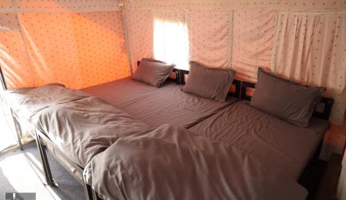 Tent