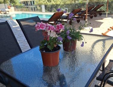 Studio with Pool View