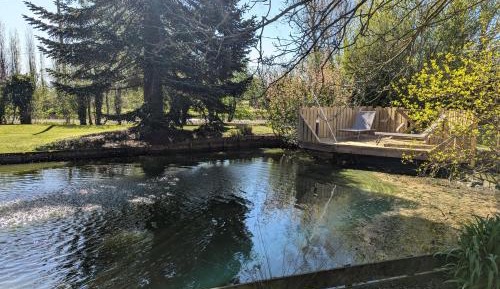 Family Room with Private Bathroom