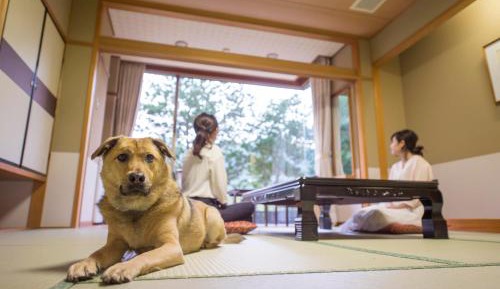 Japanese-Style Room With Private Dog Garden(Nonsmoking)【42㎡】