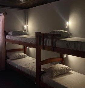 Bed in 6-Bed Mixed Dormitory Room