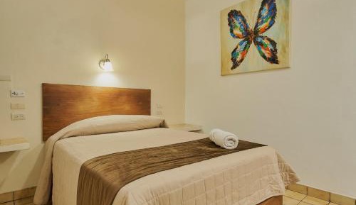 Superior Single Room