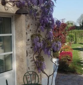Double Room with Patio