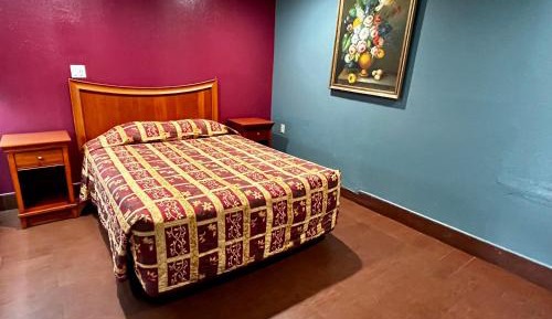 Budget Single Room