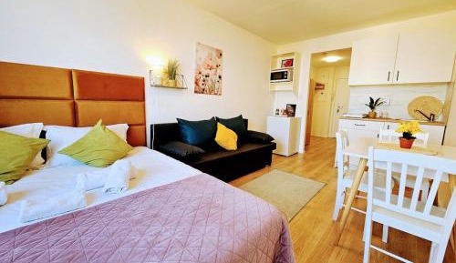 Deluxe One-Bedroom Apartment with City View