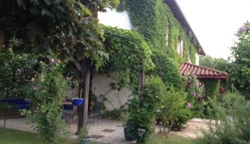 Double Room with Garden View