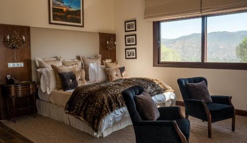 Deluxe King Suite