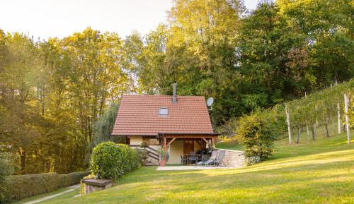 Holiday Home with Sauna