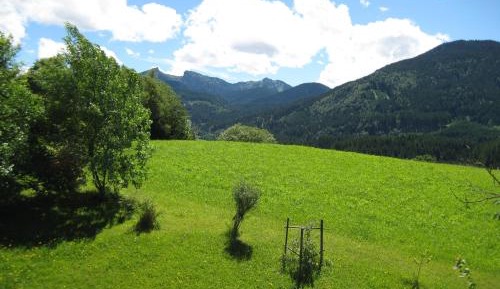 Double Room with Mountain View