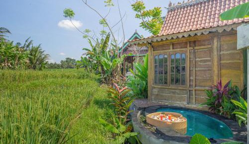 Deluxe Bungalow with Plunge Pool and Rice Field View
