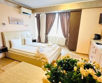 Studio with Sofa Bed