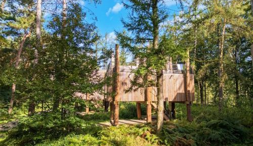 One-Bedroom Holiday Home