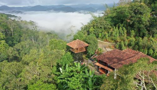 King Room with Mountain View